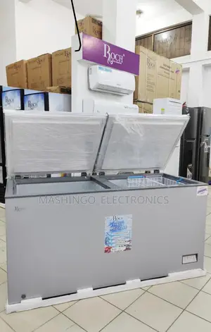 508 Liter Roch Freezer