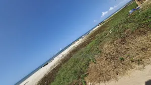 Beach Plot Number 1 It Over Look Sea
