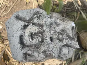 Shamba Lenye Hati Miliki Linauzwa Eka 16