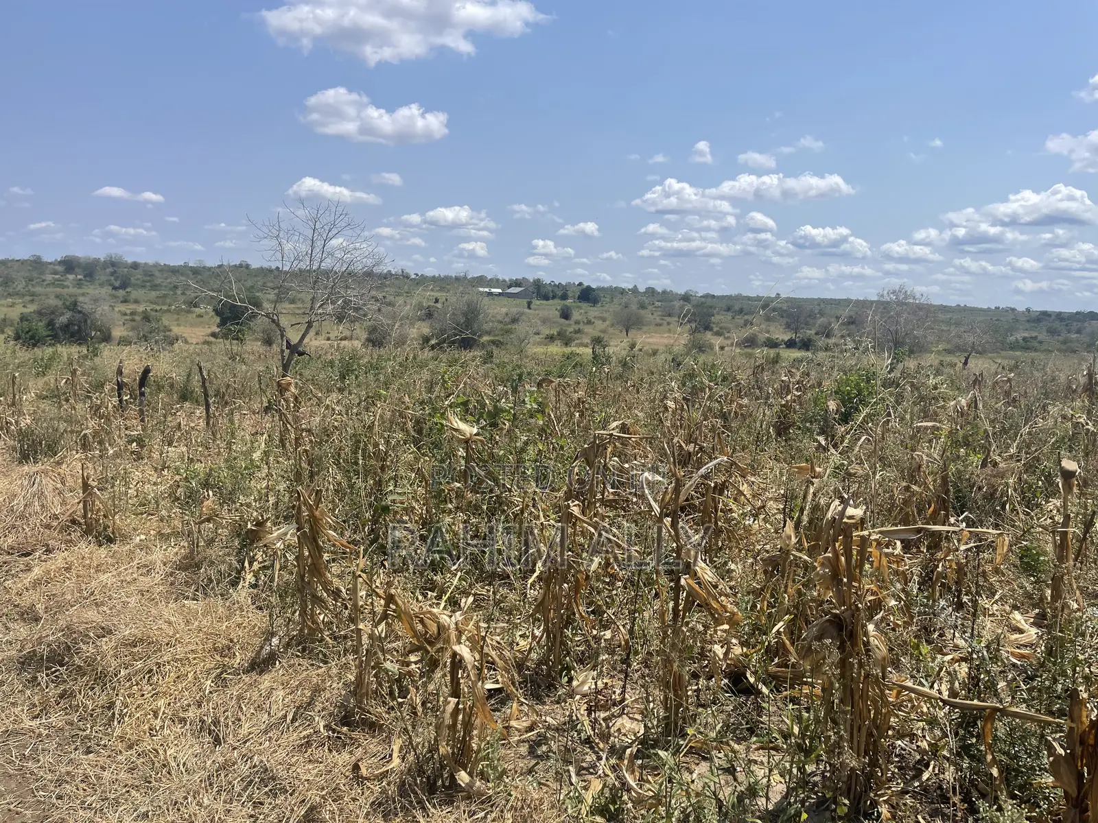 Shamba Lenye Hati Miliki Linauzwa Eka 16
