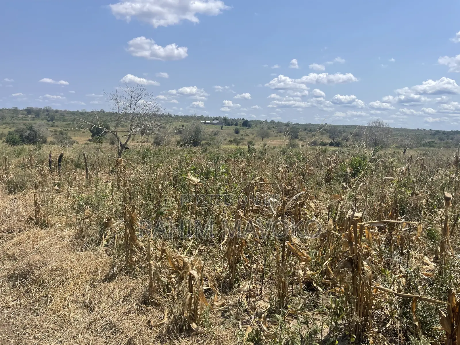 Shamba Lenye Hati Miliki Linauzwa Eka 16