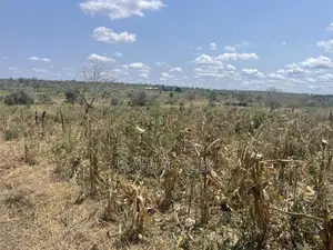 Shamba Lenye Hati Miliki Linauzwa Eka 16