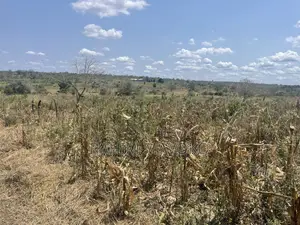 Shamba Lenye Hati Miliki Linauzwa Eka 16