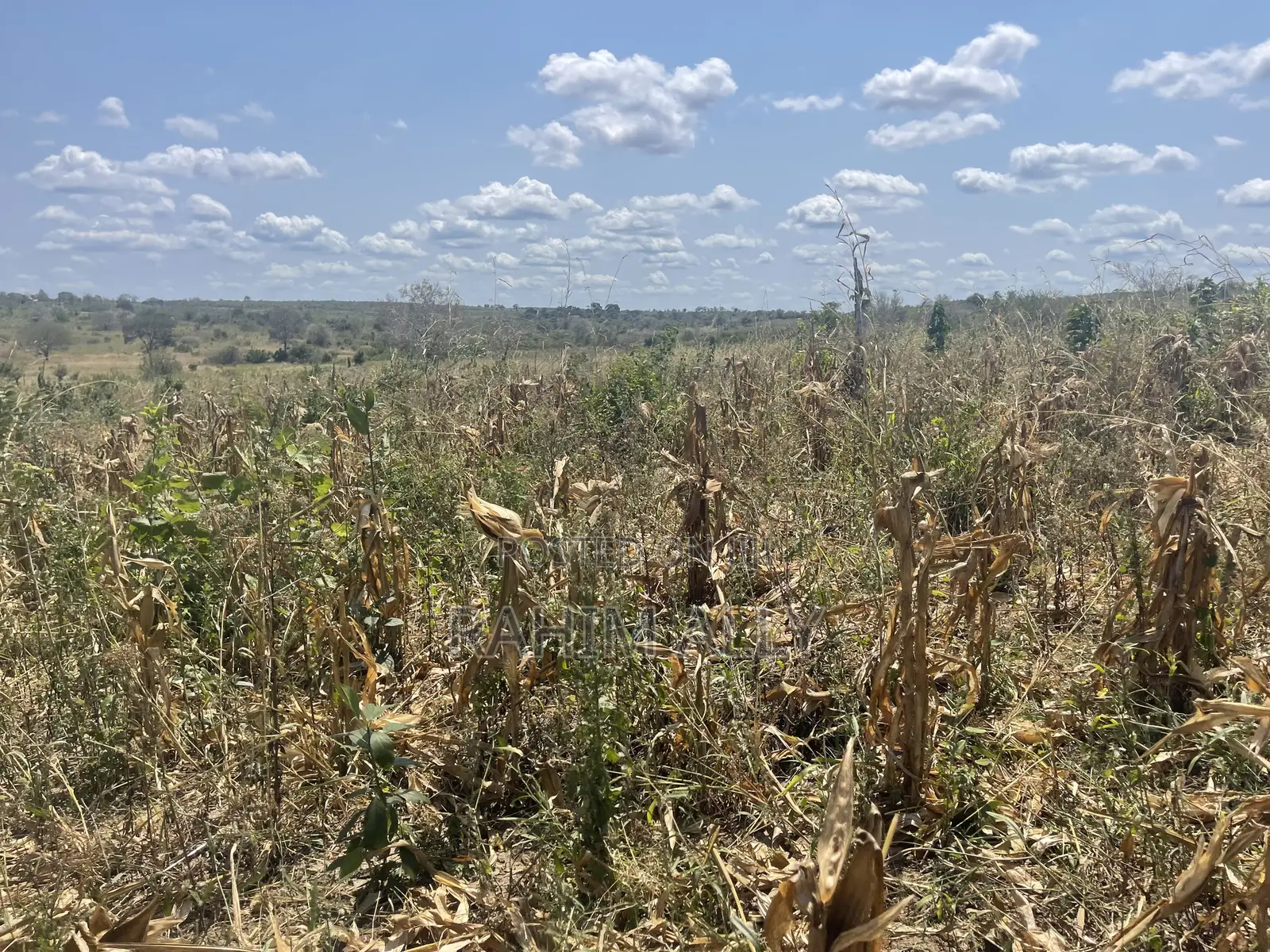 Shamba Lenye Hati Miliki Linauzwa Eka 16
