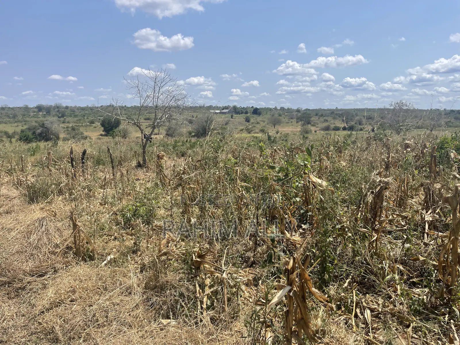 Shamba Lenye Hati Miliki Linauzwa Eka 16