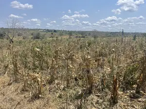 Shamba Lenye Hati Miliki Linauzwa Eka 16