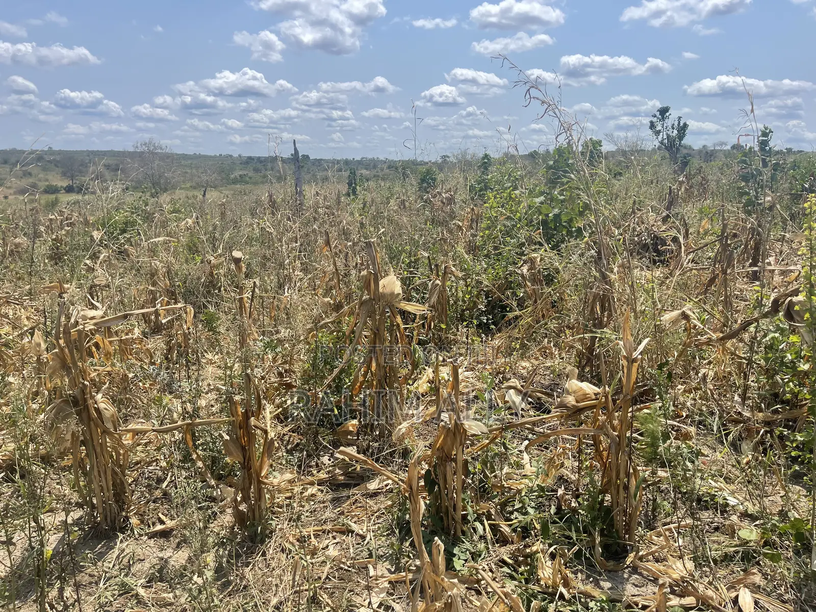 Shamba Lenye Hati Miliki Linauzwa Eka 16