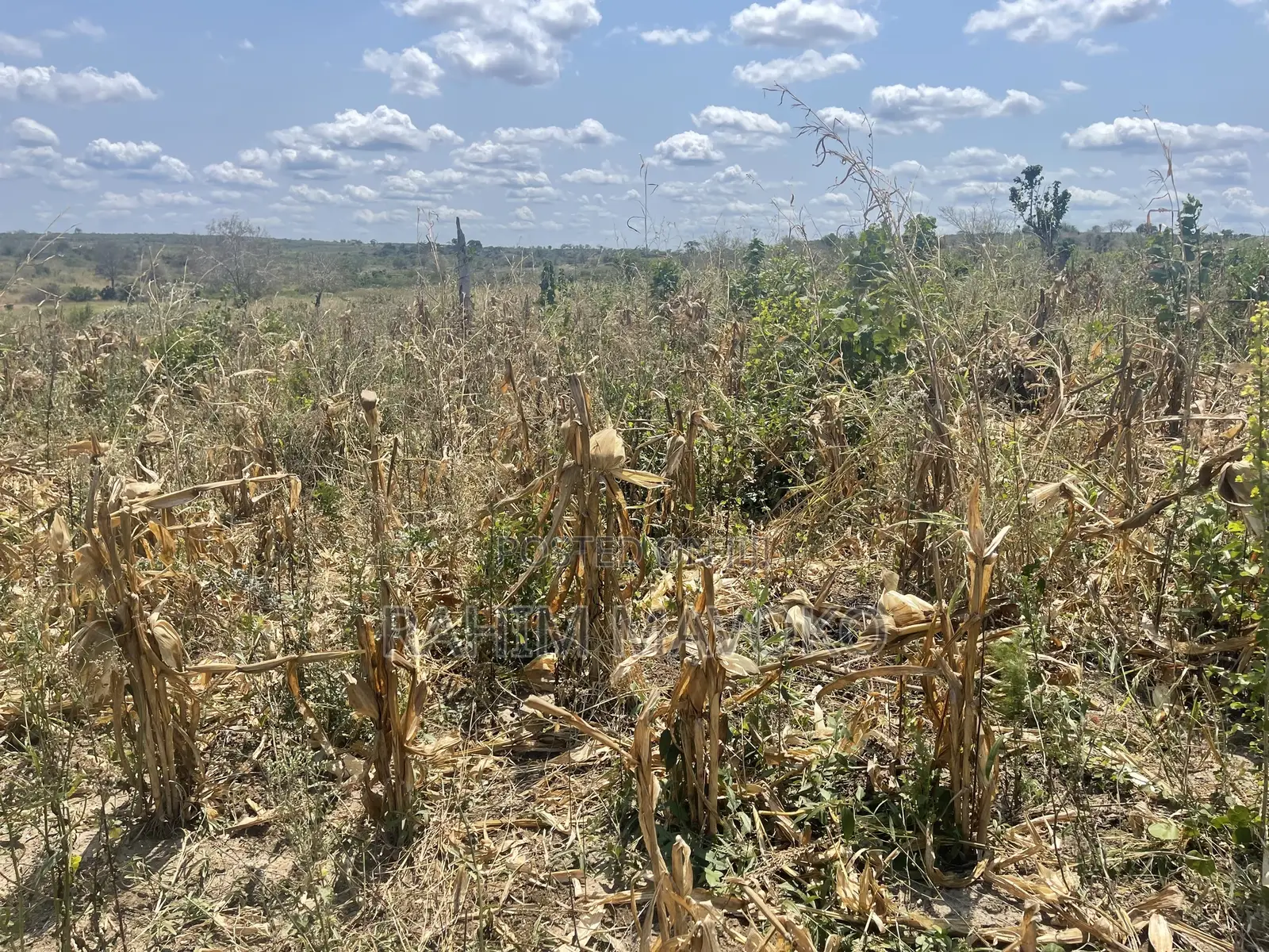 Shamba Lenye Hati Miliki Linauzwa Eka 16