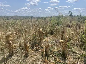 Shamba Lenye Hati Miliki Linauzwa Eka 16