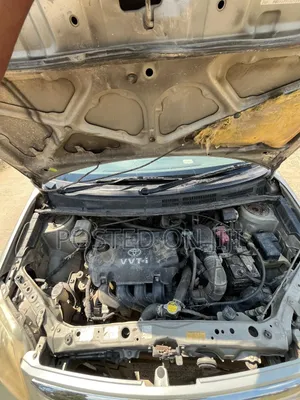 Toyota Raum 2004 Gold