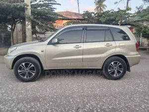 Toyota RAV4 2007 Gold