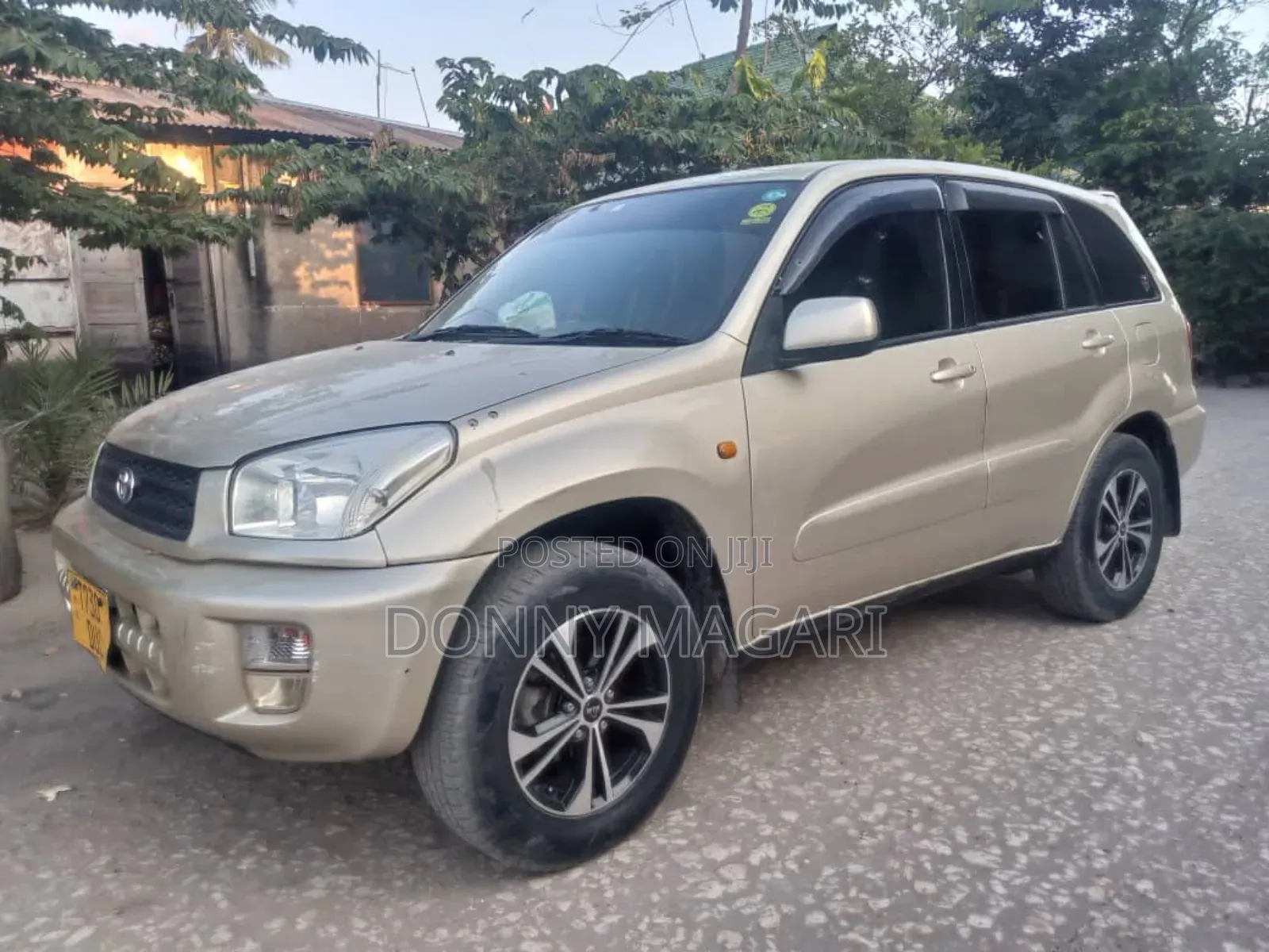 Toyota RAV4 2007 Gold