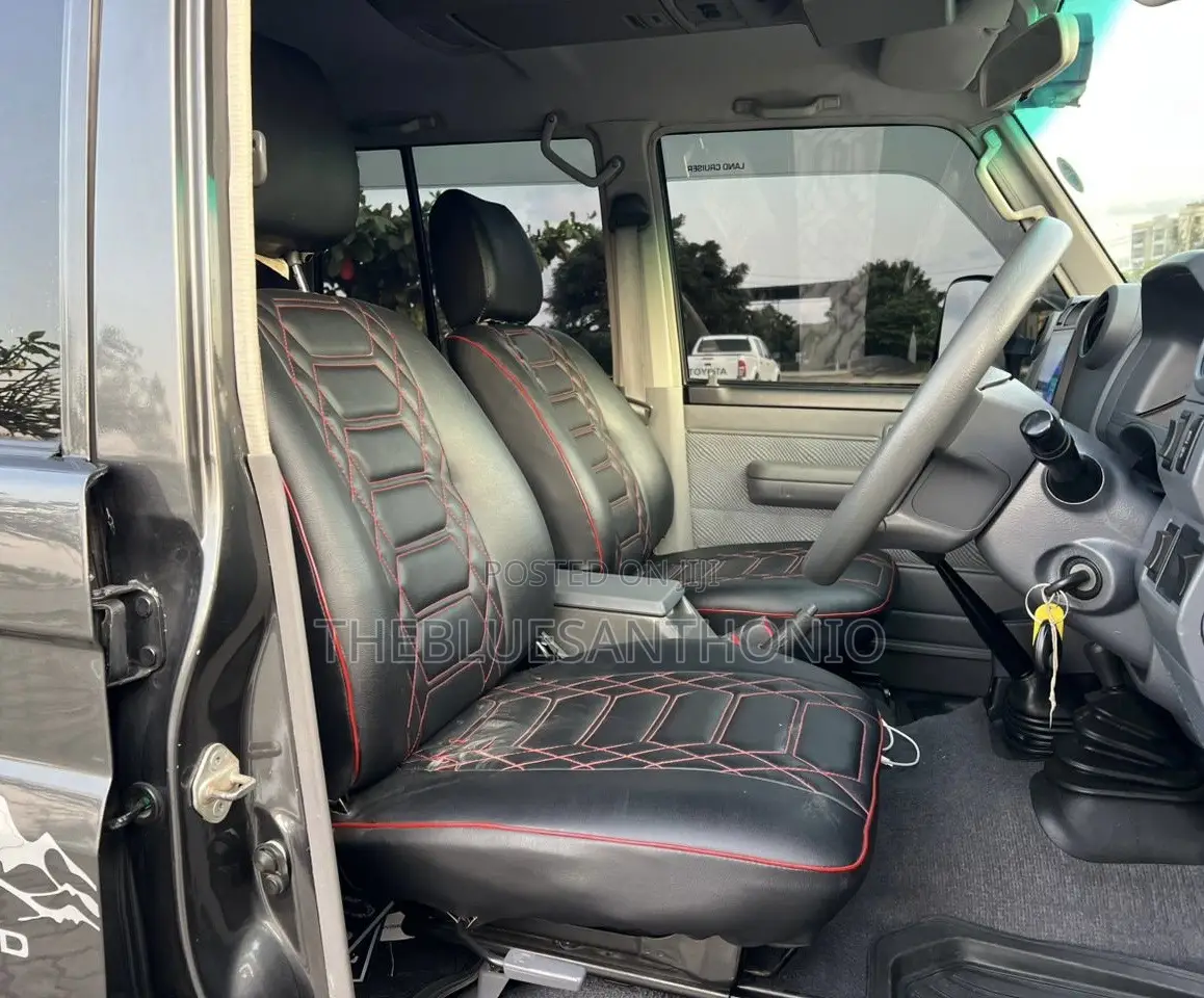 Toyota Land Cruiser 2010 Gray