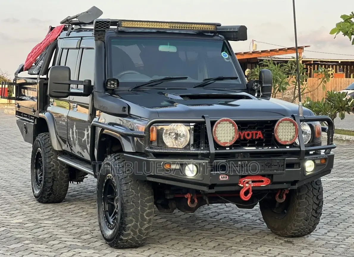 Toyota Land Cruiser 2010 Gray