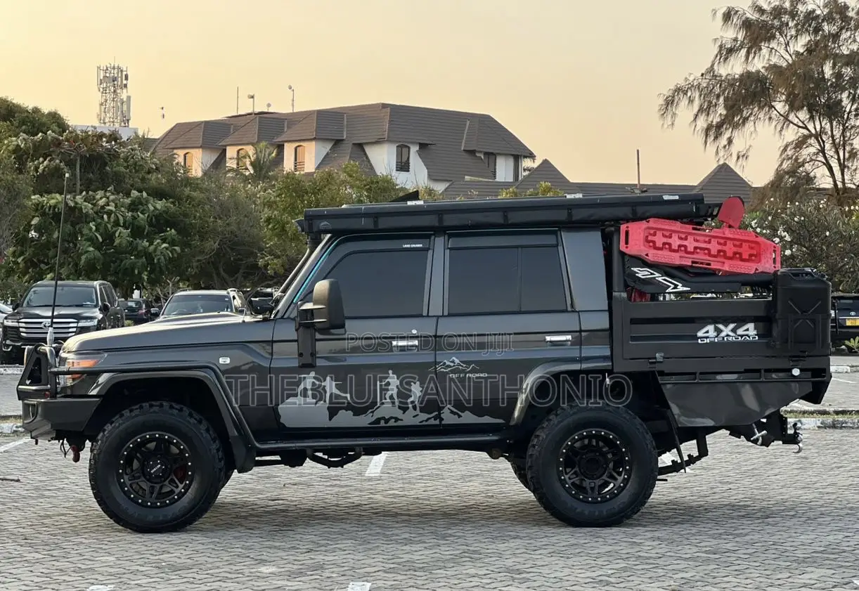 Toyota Land Cruiser 2010 Gray