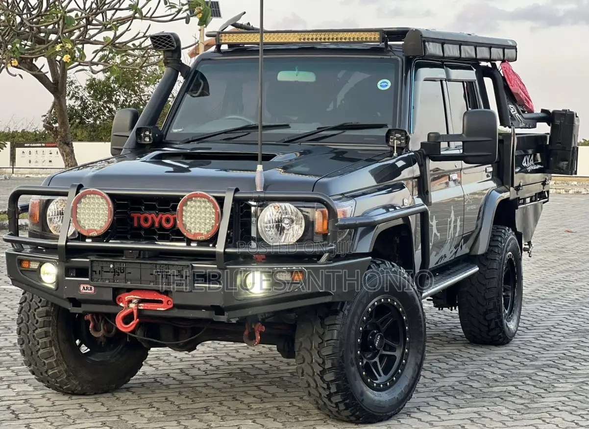 Toyota Land Cruiser 2010 Gray