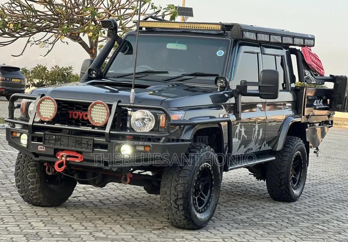 Toyota Land Cruiser 2010 Gray