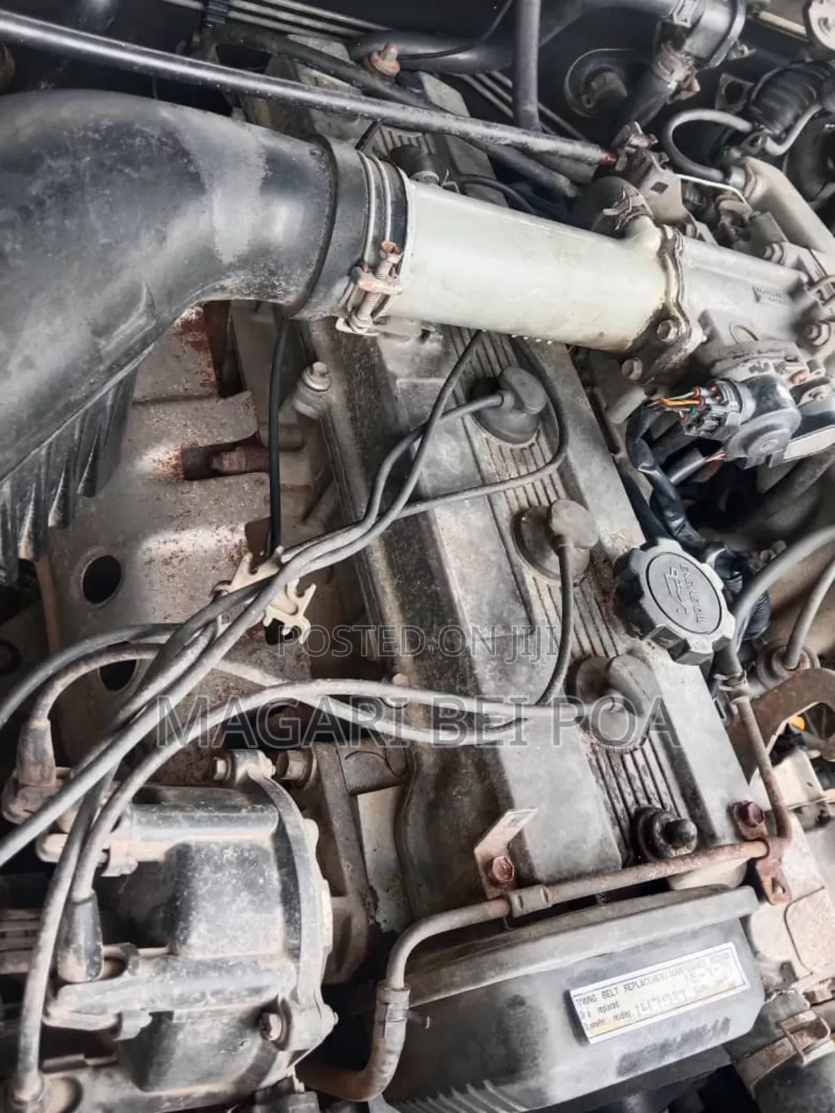 Toyota Land Cruiser 2003 White