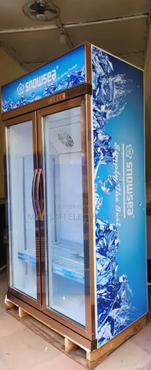 Sonwsea Show Case