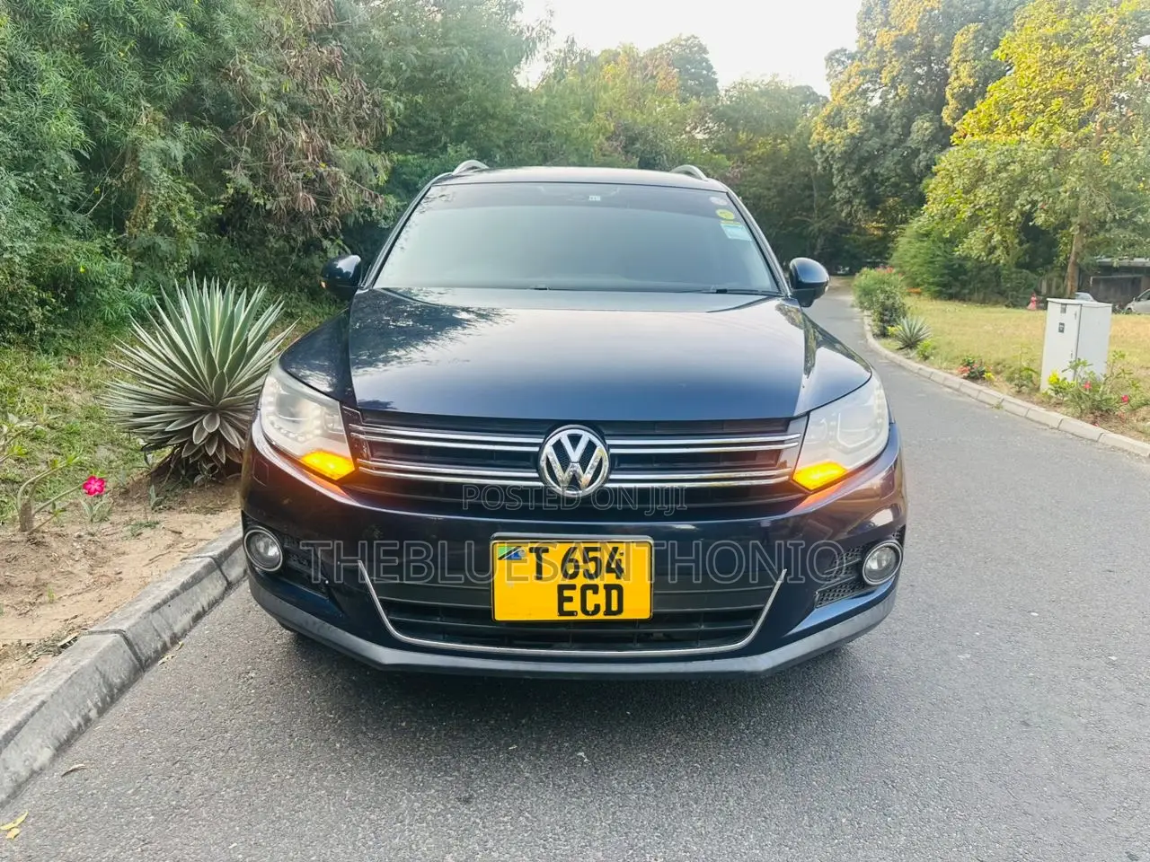 Volkswagen Tiguan 2012 Blue
