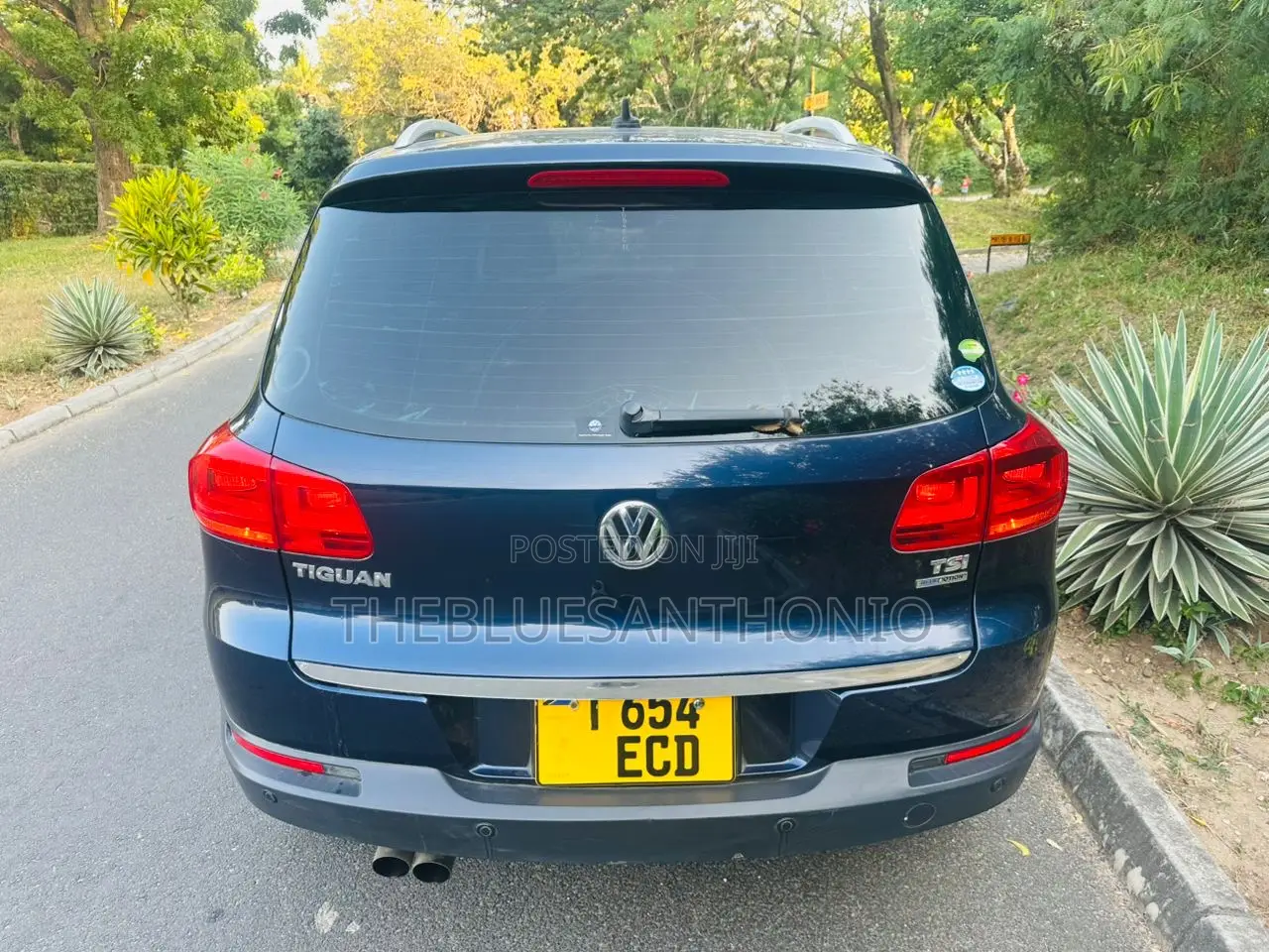 Volkswagen Tiguan 2012 Blue
