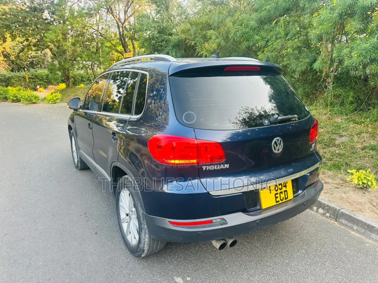 Volkswagen Tiguan 2012 Blue