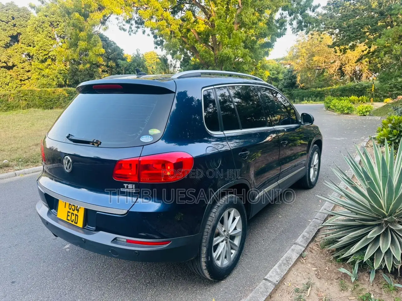 Volkswagen Tiguan 2012 Blue