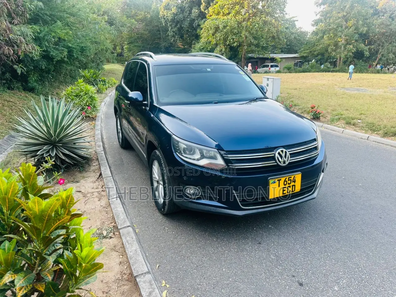Volkswagen Tiguan 2012 Blue