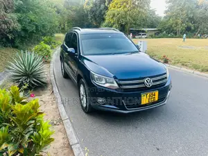 Volkswagen Tiguan 2012 Blue