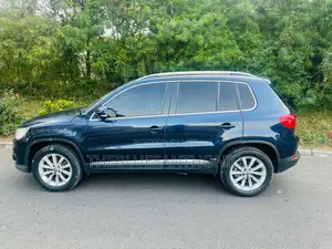 Volkswagen Tiguan 2012 Blue