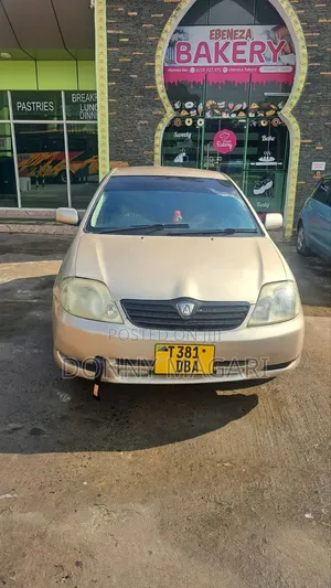Toyota Corolla RunX 2006 Gold