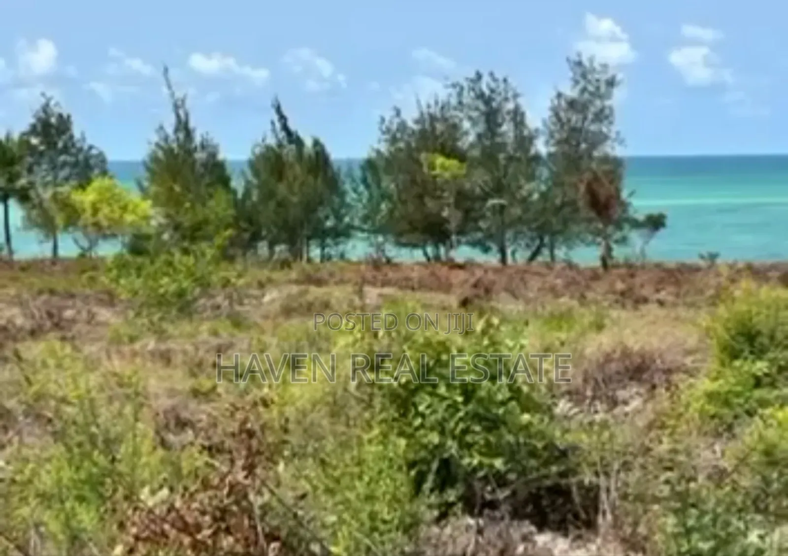 Beach Cliff for Sale at Zanzibar Uroa