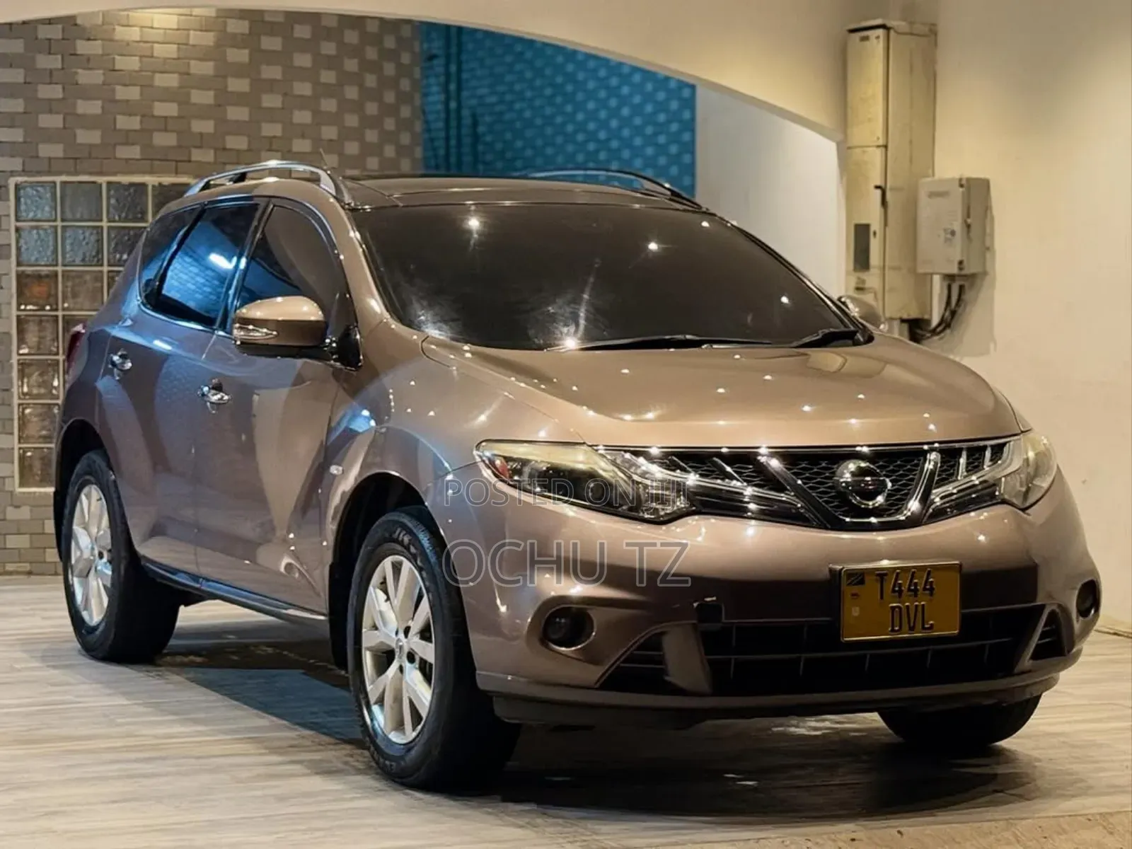 Nissan Murano 2009 Gold