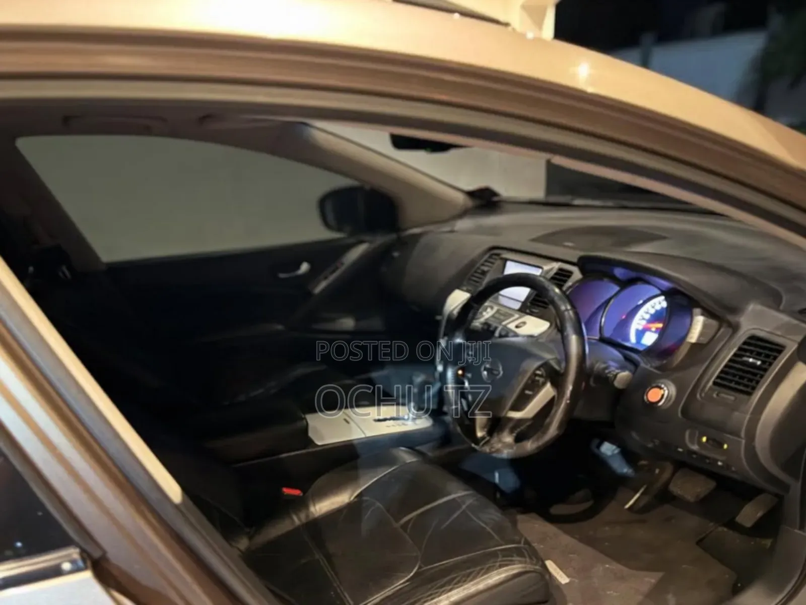 Nissan Murano 2009 Gold