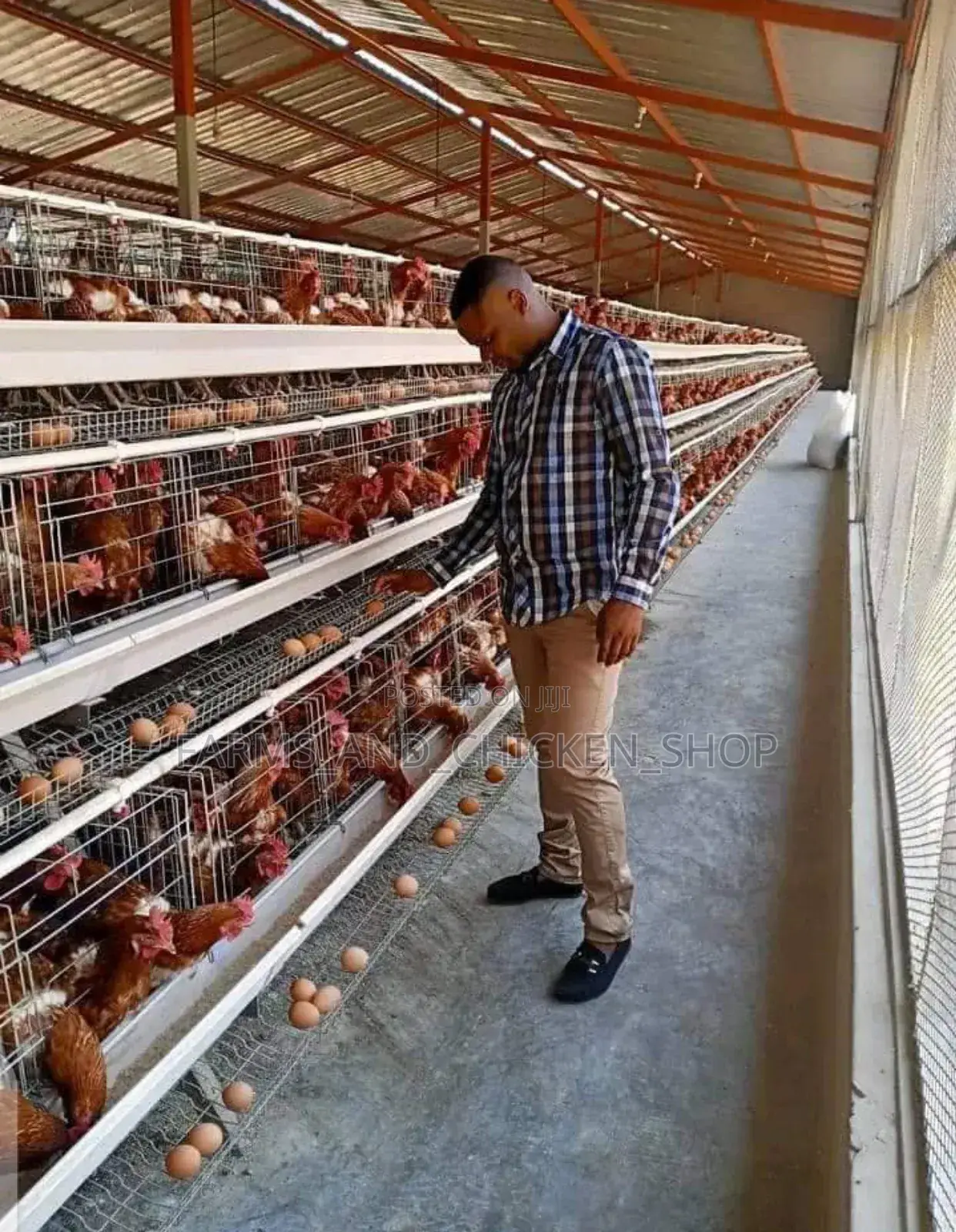 128 Chicken Cage
