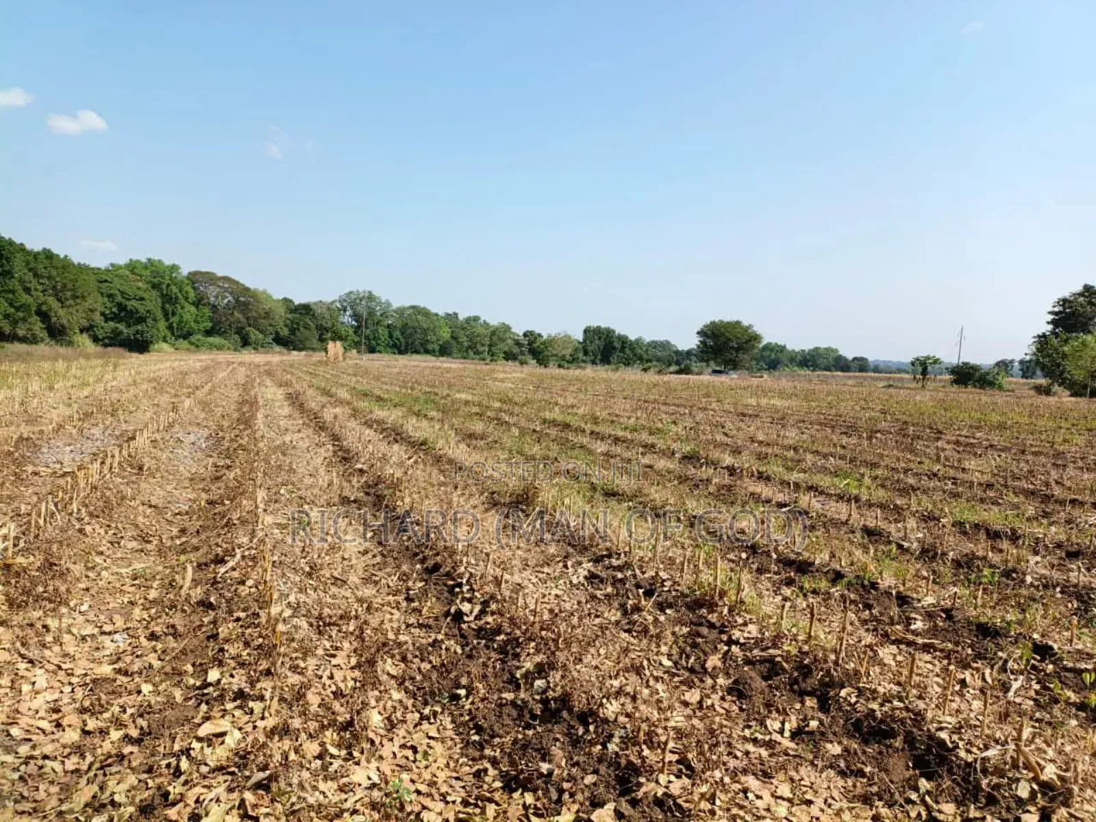 61 Hectare Farm for Sale in Usa River