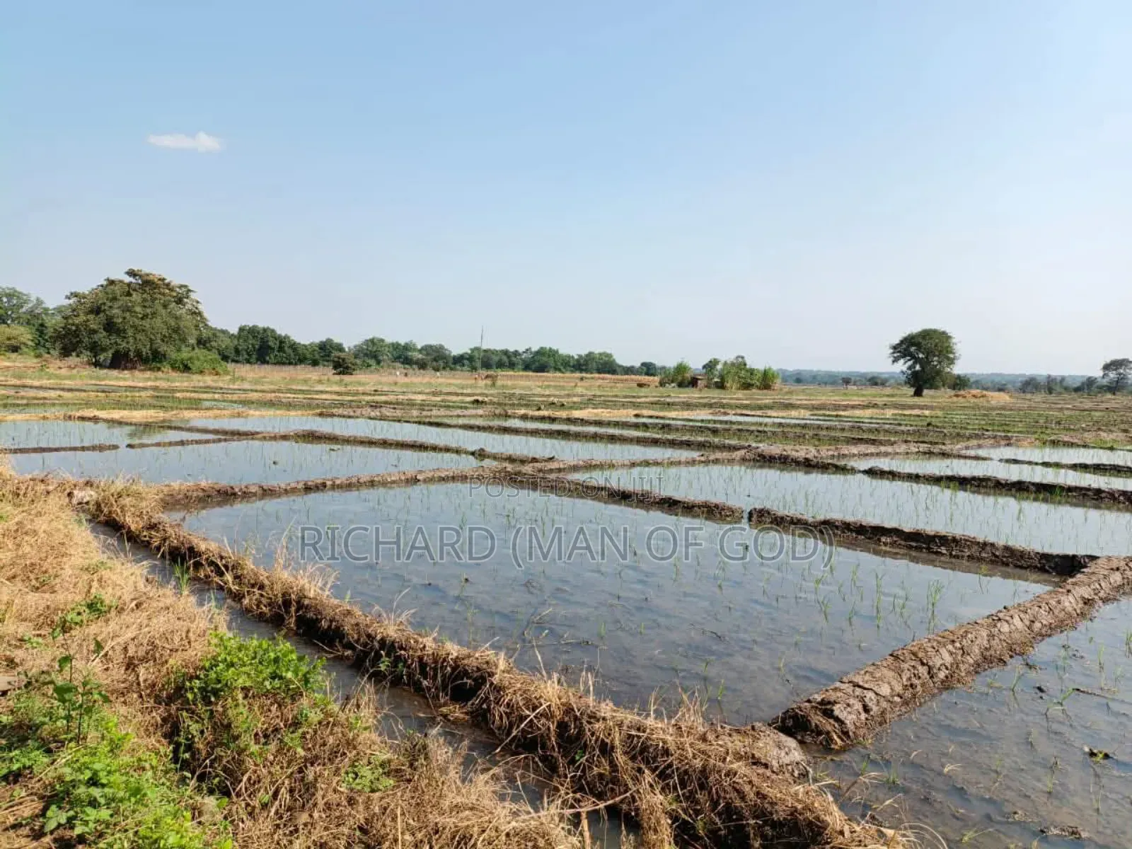 61 Hectare Farm for Sale in Usa River