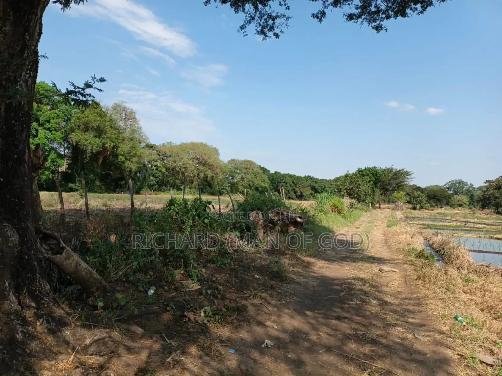 61 Hectare Farm for Sale in Usa River