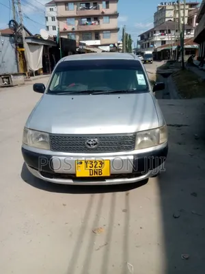 Toyota Probox 2004 Silver