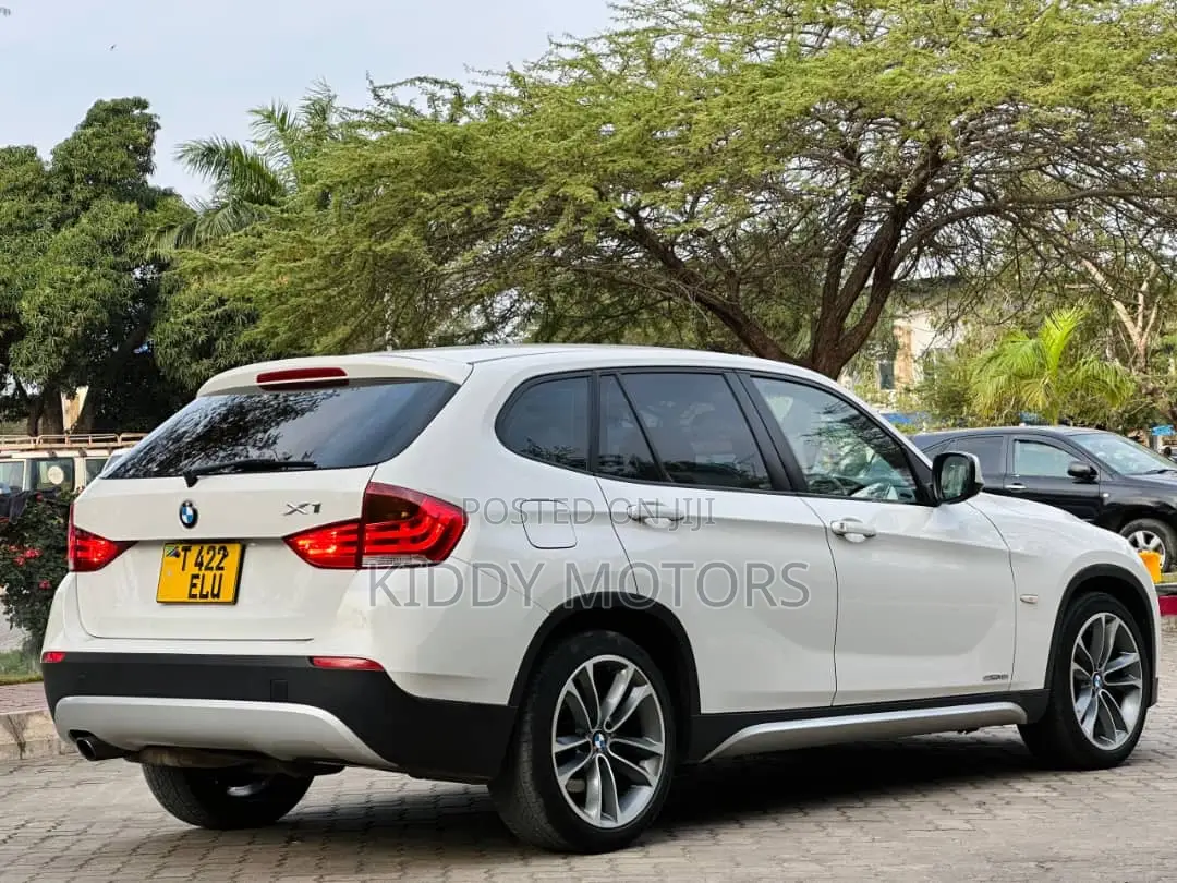 BMW X1 2012 Pearl