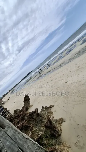 Beach Plot 1 at Bagamoyo Town Big Space