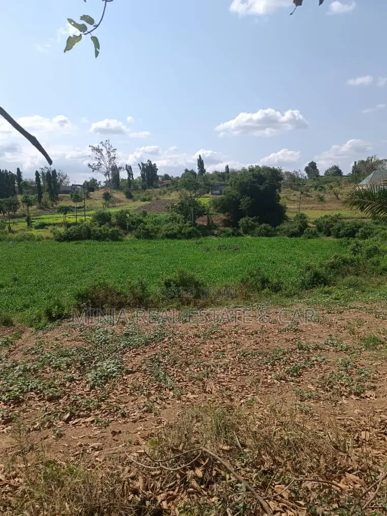 3 Acres for Sale Kiluvya Gogoni