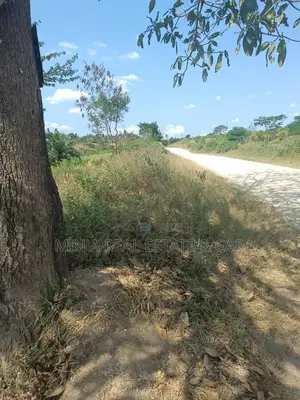 3 Acres for Sale Kiluvya Gogoni