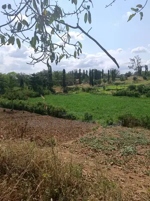 3 Acres for Sale Kiluvya Gogoni