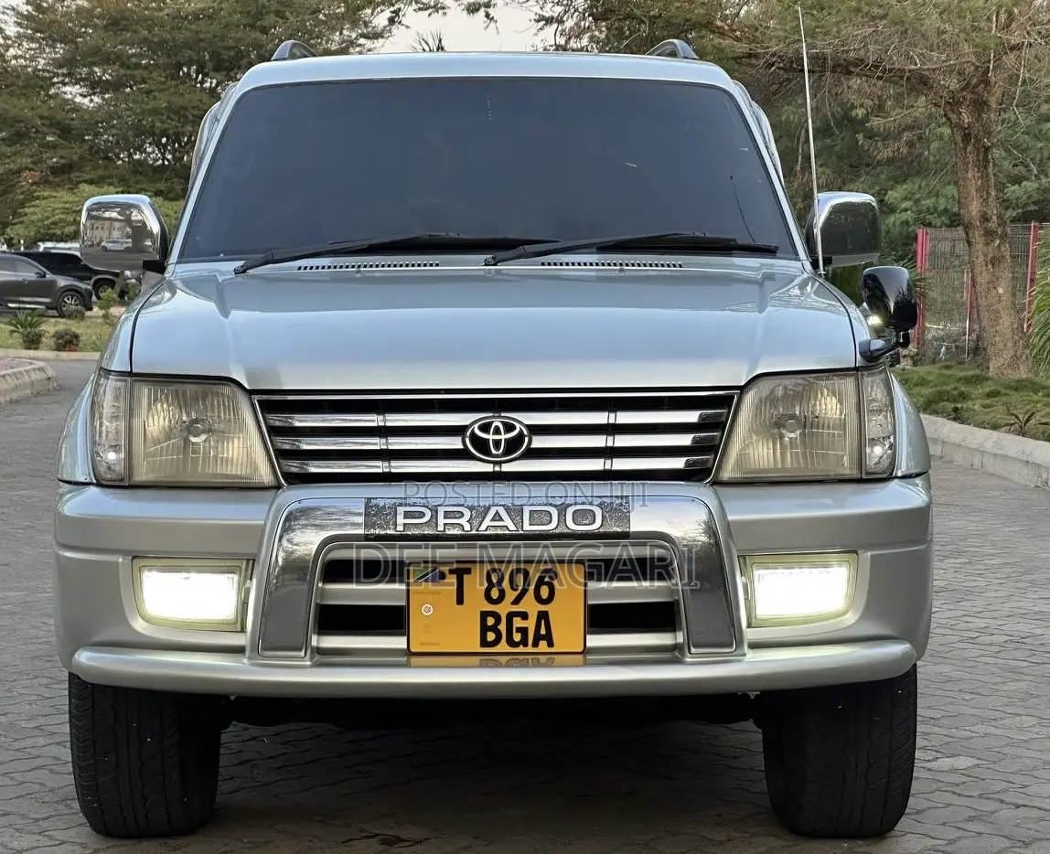 Toyota Land Cruiser Prado 2002 Silver