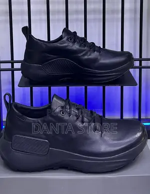 Ecco Shoes Men’S