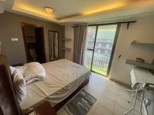 Furnished 1bdrm Apartment in Upanga West for rent