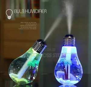Bulb Humidifier