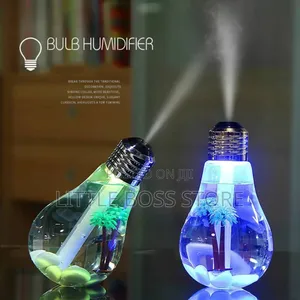 Bulb Humidifier