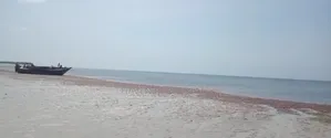 Beach Plot for Sale at Pangani Tanga